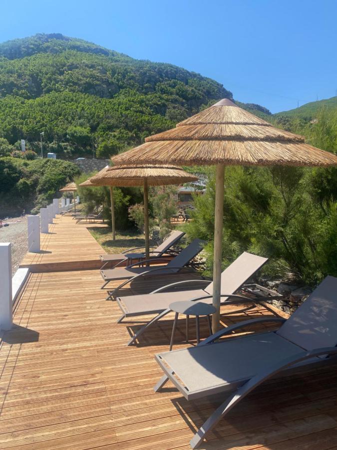 Apartament Domaine U Pozzu Sisco Zewnętrze zdjęcie