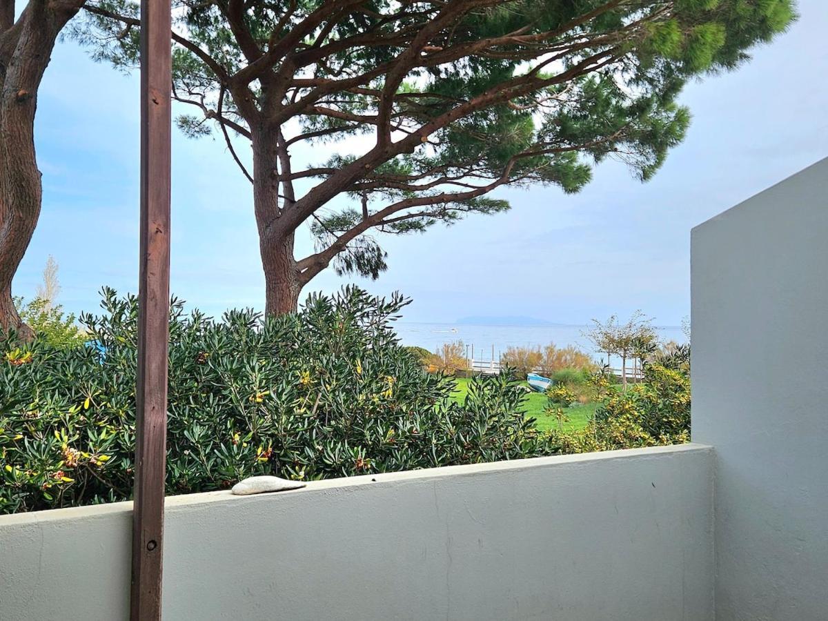 Apartament Domaine U Pozzu Sisco Zewnętrze zdjęcie